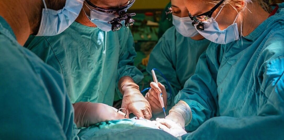 Una niña catamarqueña fue operada con éxito en el Garrahan tras un trabajo conjunto del sistema de salud