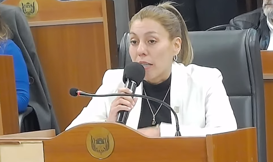 Trabajo social: avanzan con la creación de un nuevo Colegio Profesional